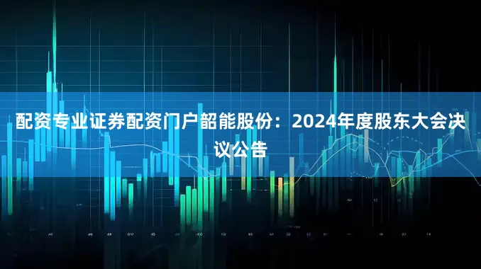 配资专业证券配资门户韶能股份：2024年度股东大会决议公告